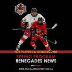Spring Hockey program from the North York Renegades