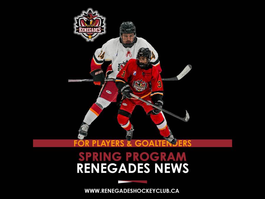 Spring Hockey program from the North York Renegades