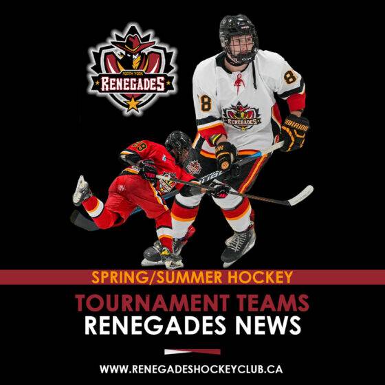 Spring Tournament teams and Hockey program from the North York Renegades