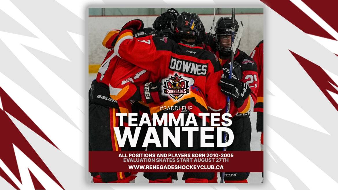 Junior Hockey Evaluation Skates