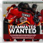 Junior Hockey Evaluation Skates