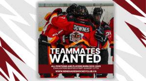 Junior Hockey Evaluation Skates