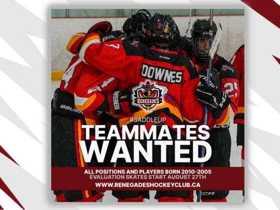 Junior Hockey Evaluation Skates
