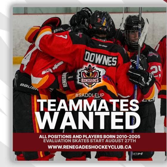 Junior Hockey Evaluation Skates