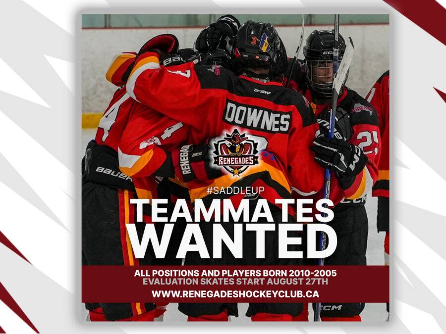 Junior Hockey Evaluation Skates
