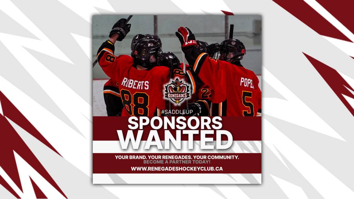 Sponsorship opportunities in hockey