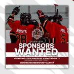 Sponsorship opportunities in hockey