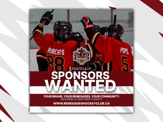Sponsorship opportunities in hockey
