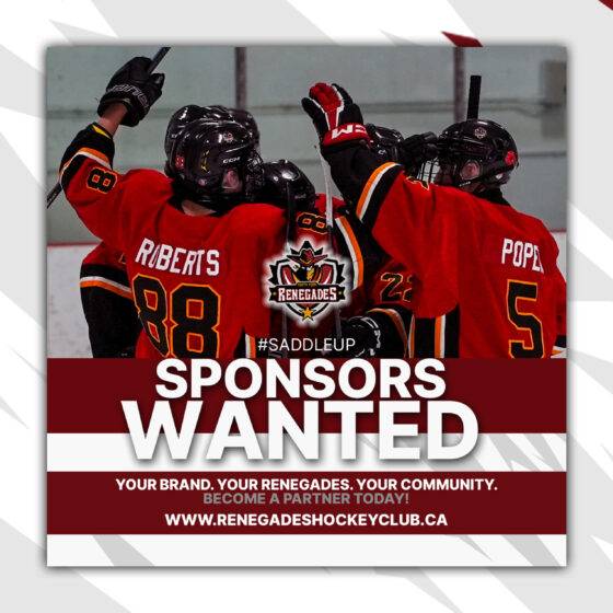Sponsorship opportunities in hockey